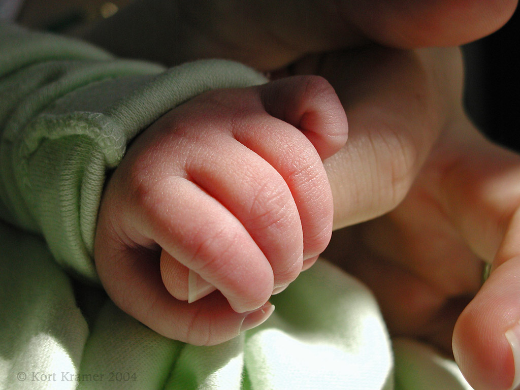 Getting A Grip, image � 2004 Kort Kramer